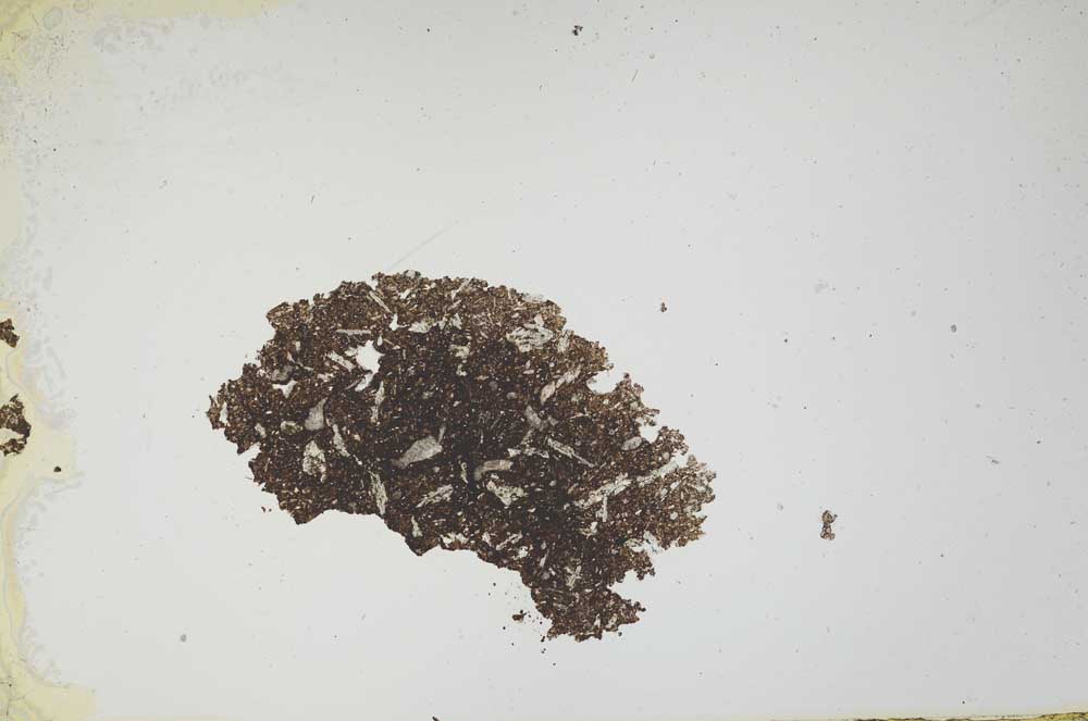 Plane Polarized, S1258