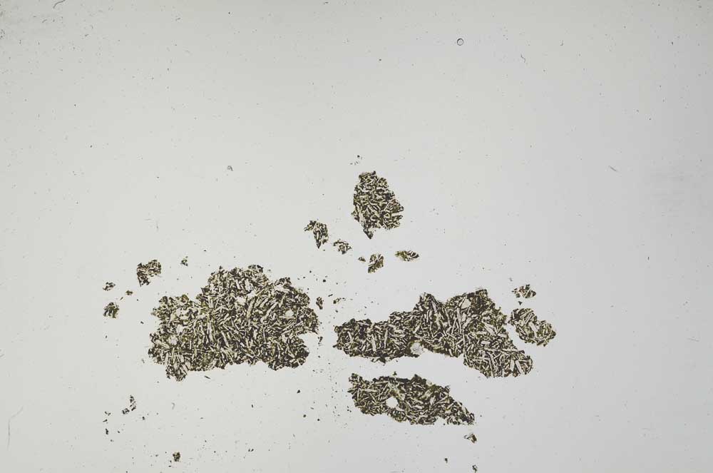 Plane Polarized, S1260