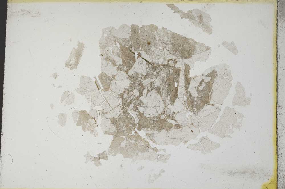 Plane Polarized, S10519