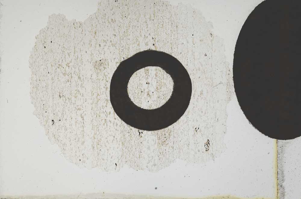 Plane Polarized, S10555