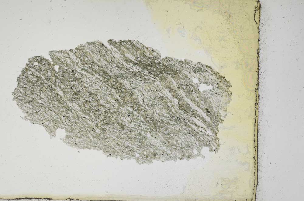 Plane Polarized, S10563