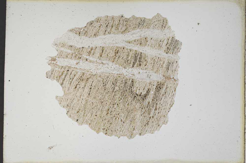 Plane Polarized, S10573