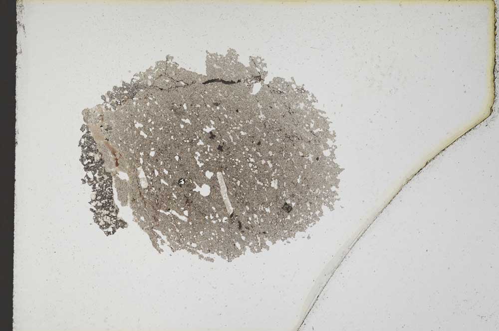 Plane Polarized, S10581