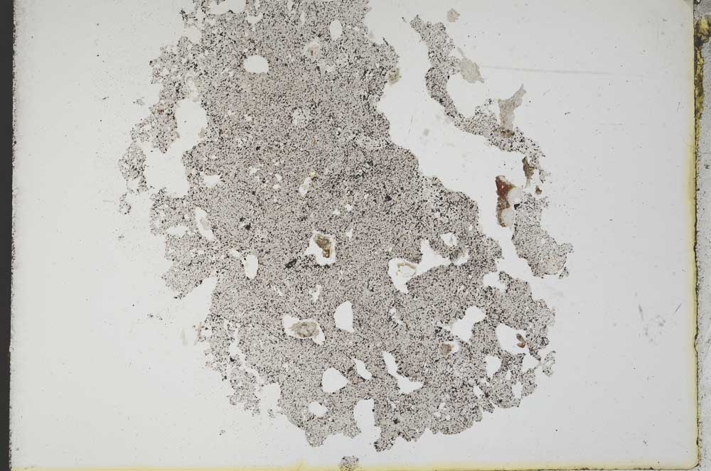 Plane Polarized, S10587