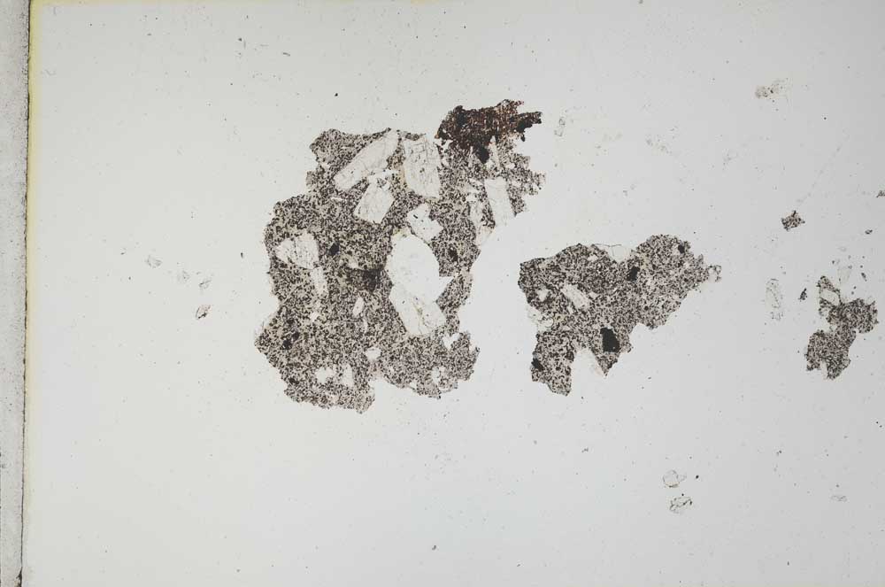 Plane Polarized, S10589