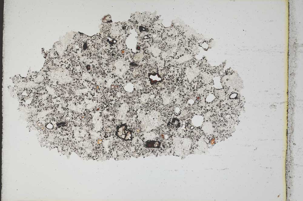 Plane Polarized, S10595