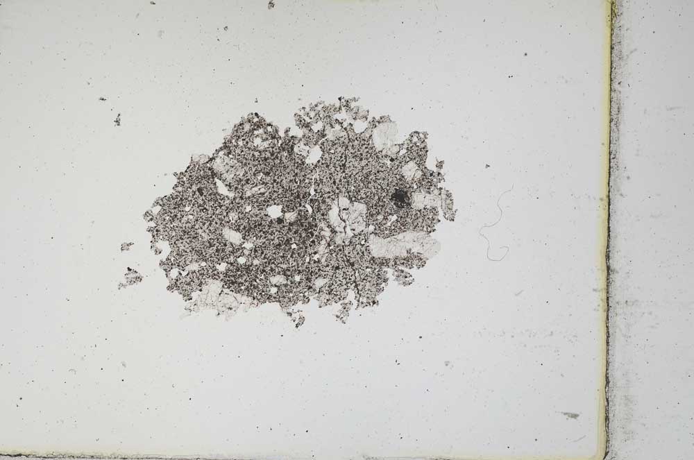 Plane Polarized, S10596