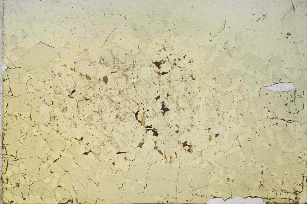 Plane Polarized, S10599