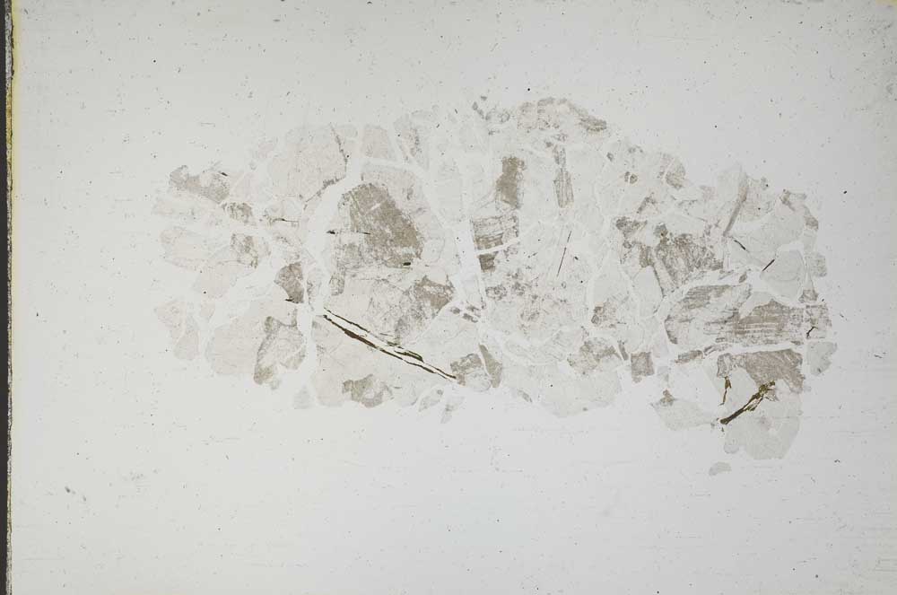 Plane Polarized, S10602