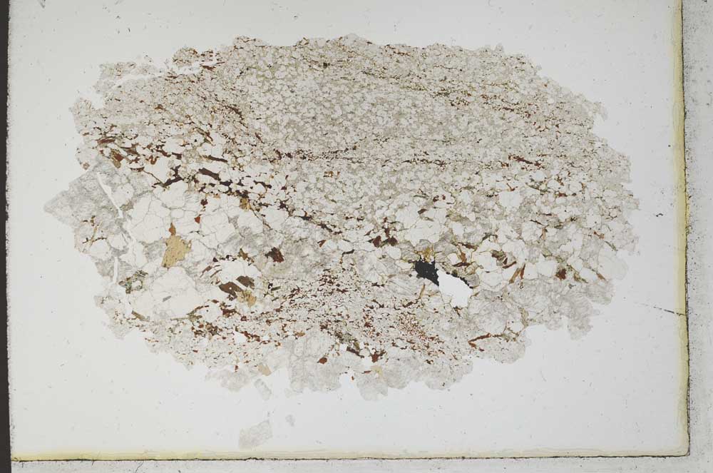 Plane Polarized, S10613