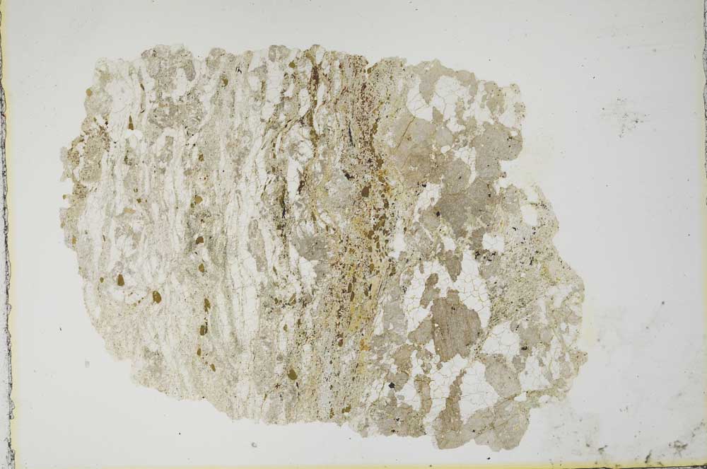 Plane Polarized, S10615