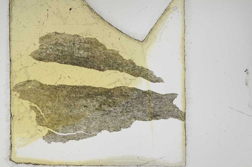 Plane Polarized, S10618