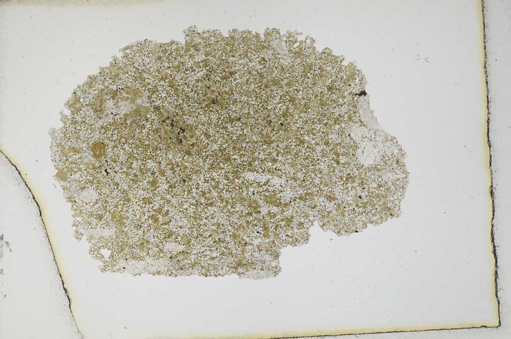 Plane Polarized, S10620