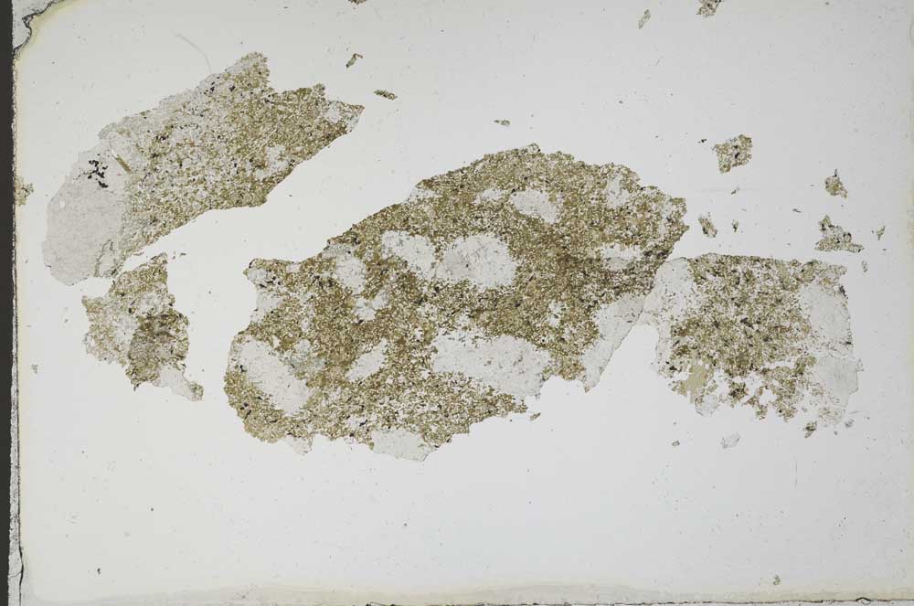 Plane Polarized, S10621