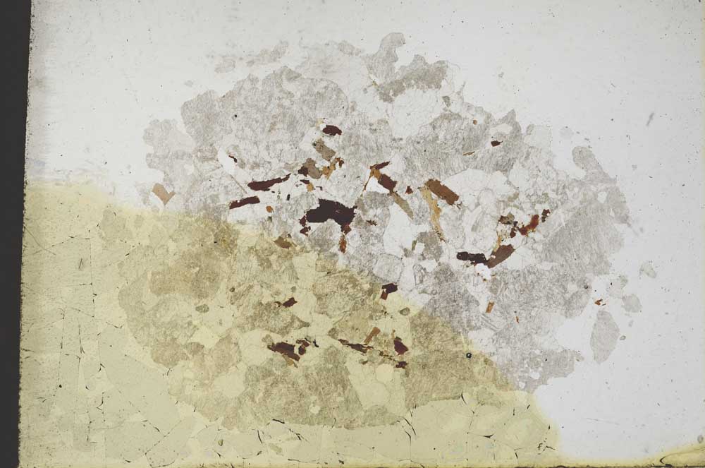 Plane Polarized, S10625