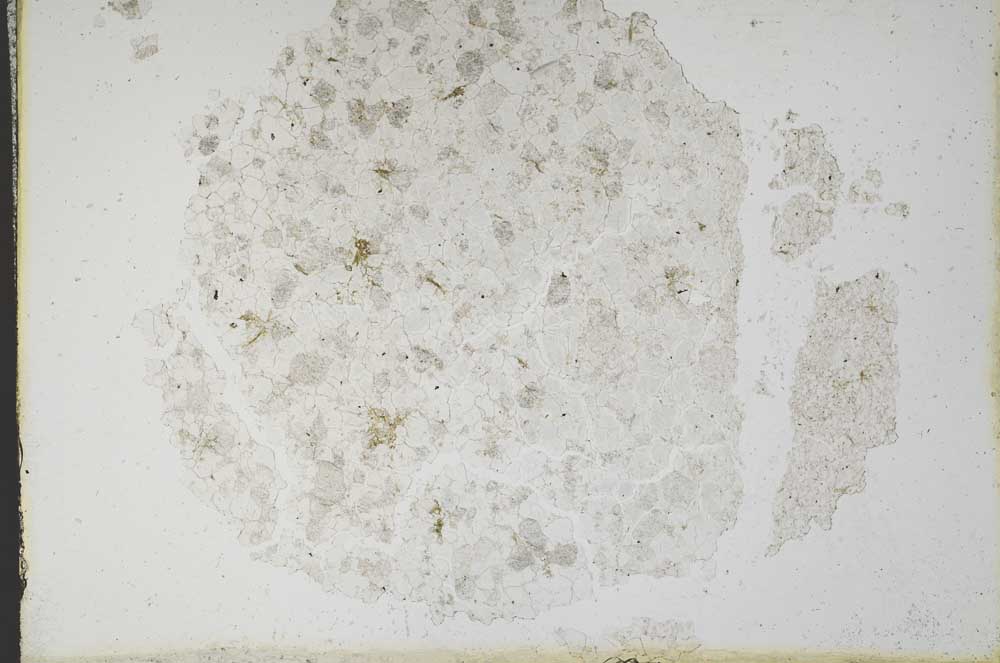 Plane Polarized, S10631
