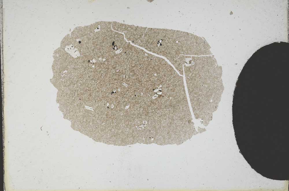 Plane Polarized, S10632