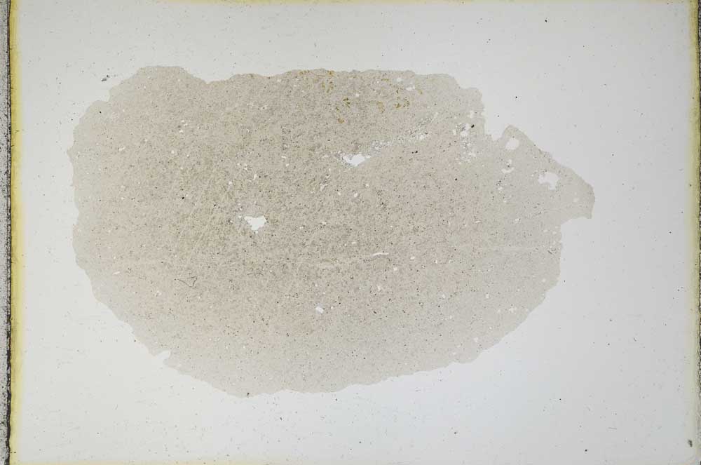 Plane Polarized, S10633