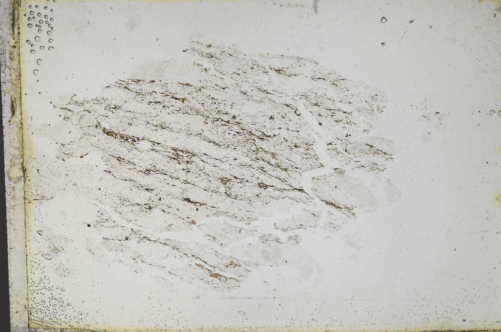 Plane Polarized, S10653