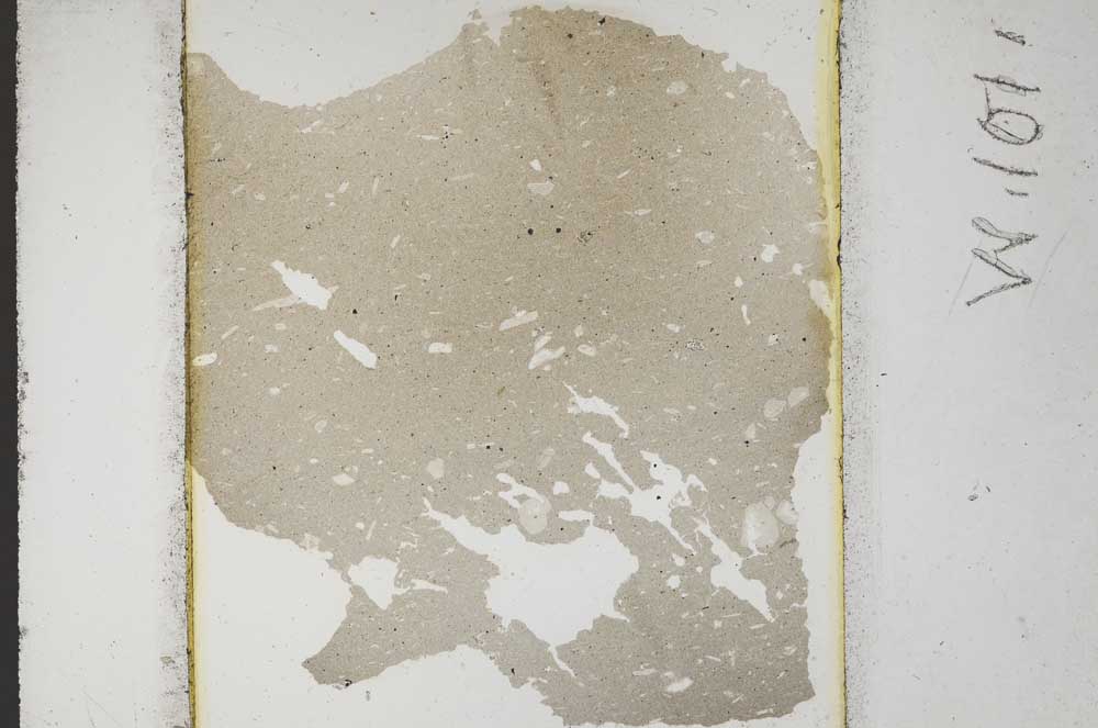 Plane Polarized, S10660