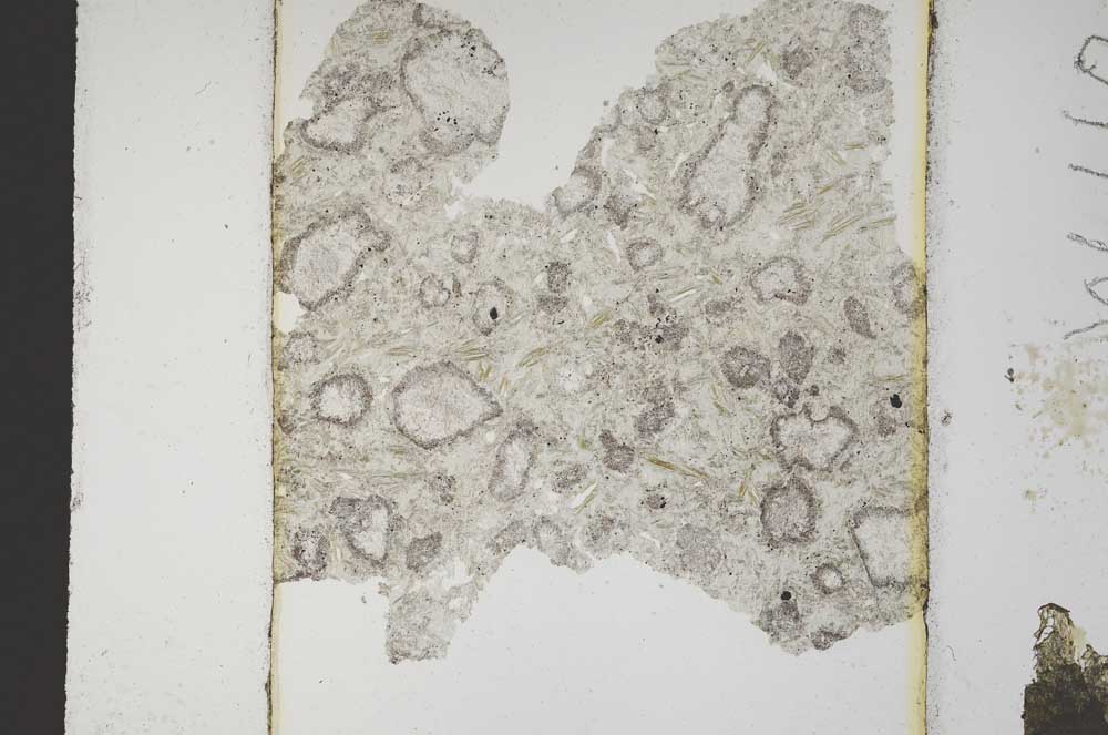 Plane Polarized, S10671