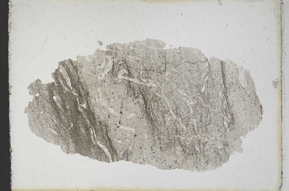 Plane Polarized, S10682