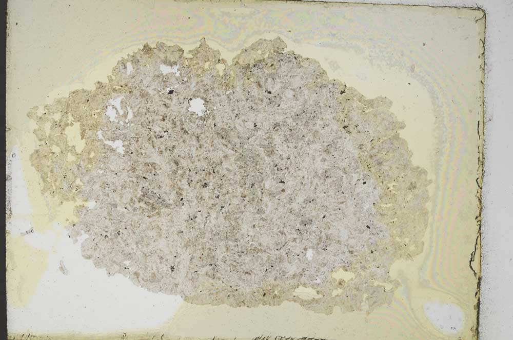 Plane Polarized, S10684