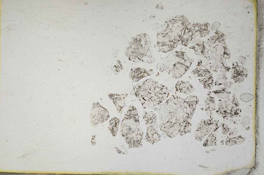 Plane Polarized, S10713