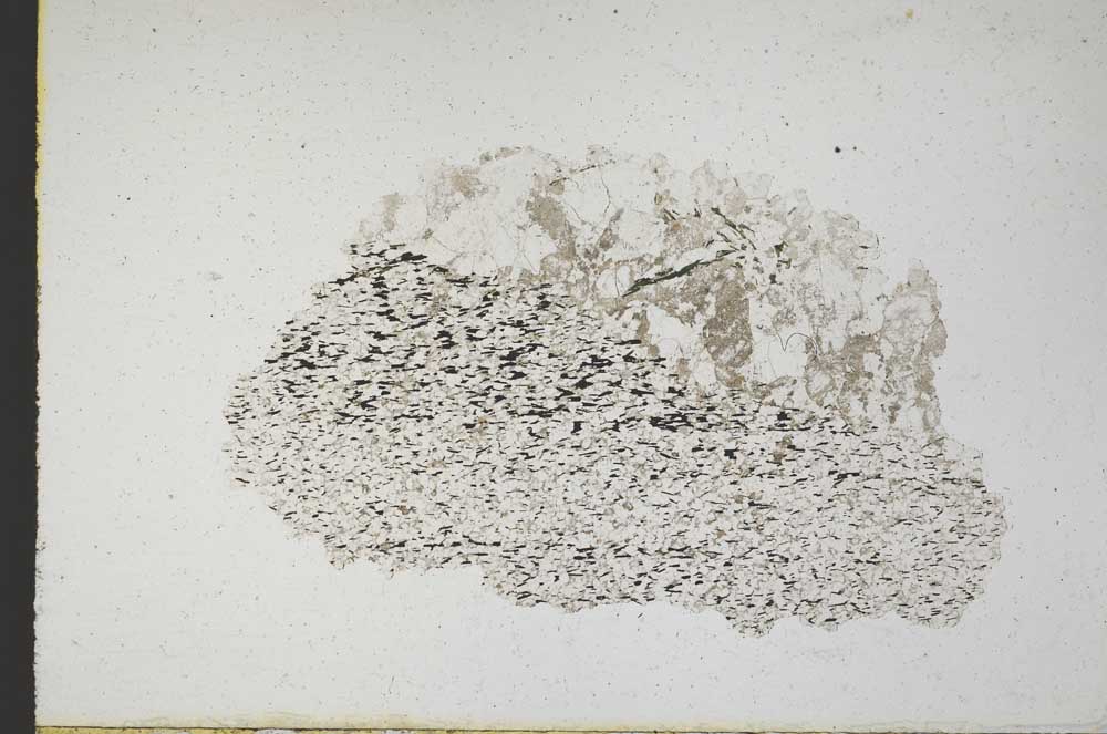Plane Polarized, S10721