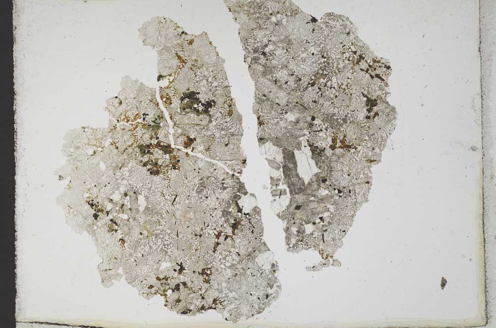 Plane Polarized, S10728
