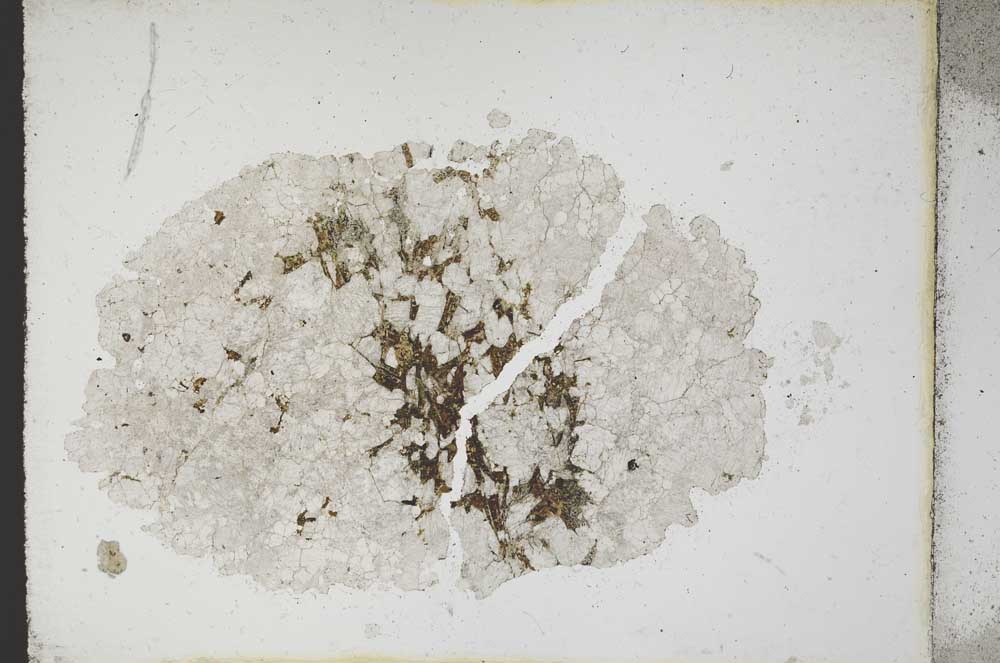 Plane Polarized, S10734