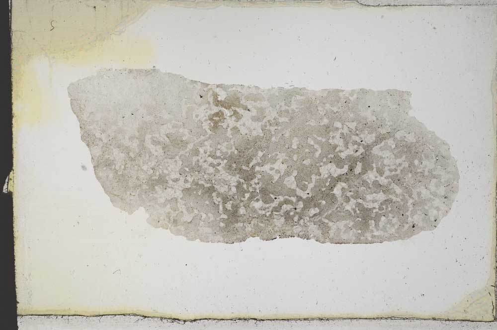 Plane Polarized, S10736