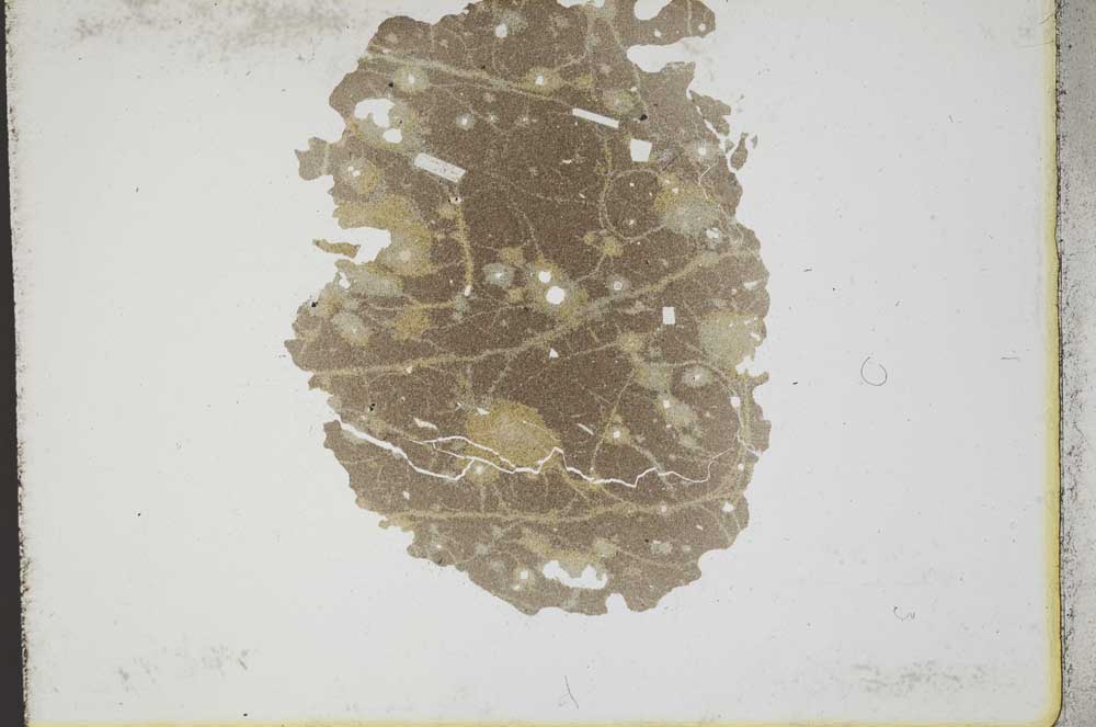 Plane Polarized, S10738