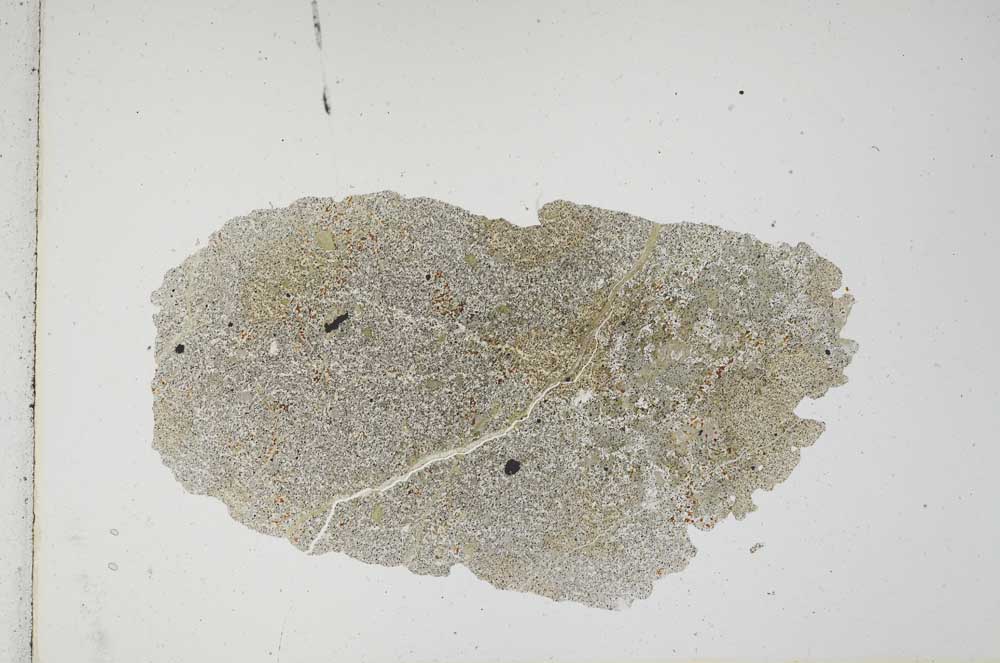 Plane Polarized, S10745