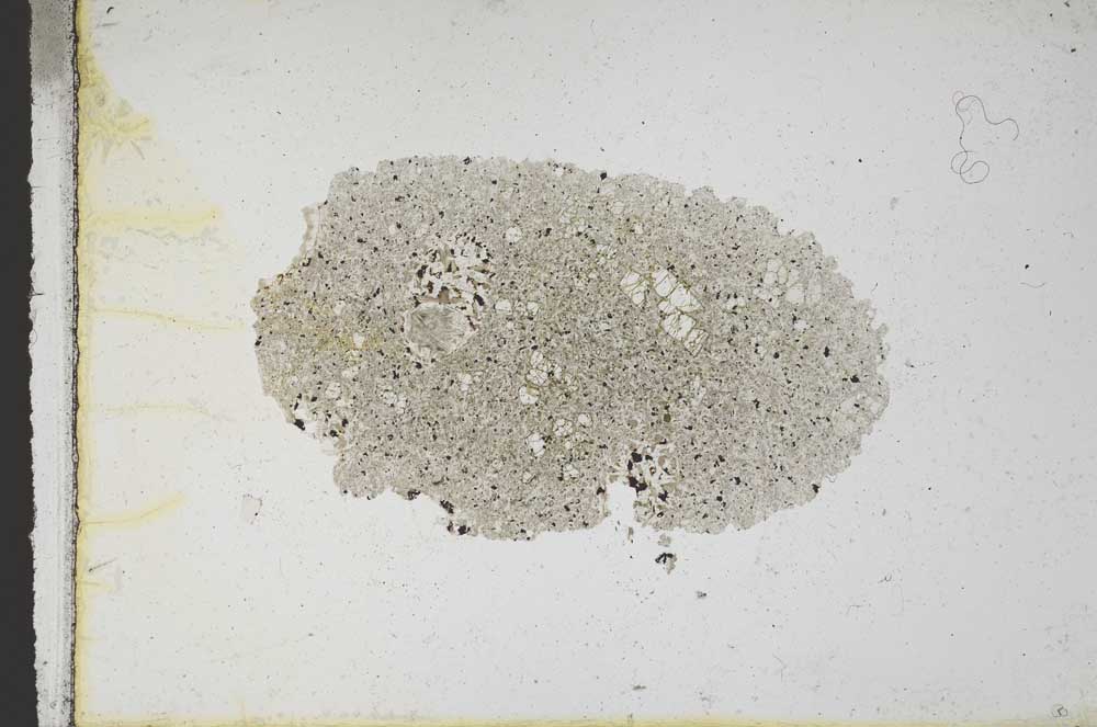 Plane Polarized, S10754
