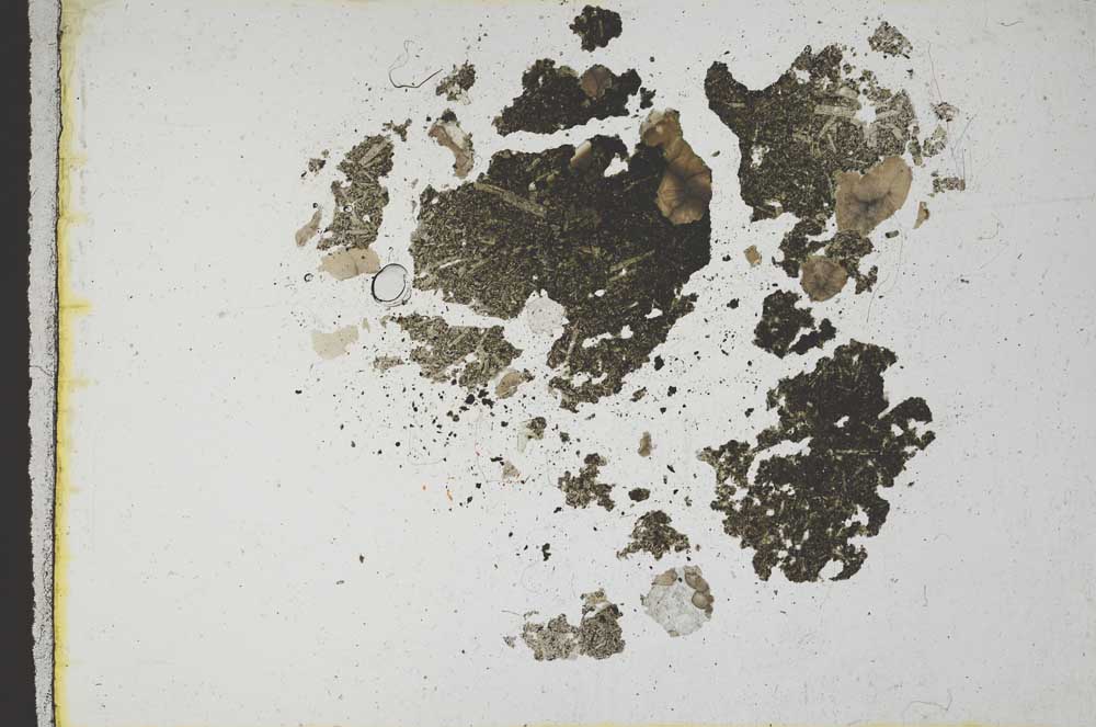 Plane Polarized, S10756