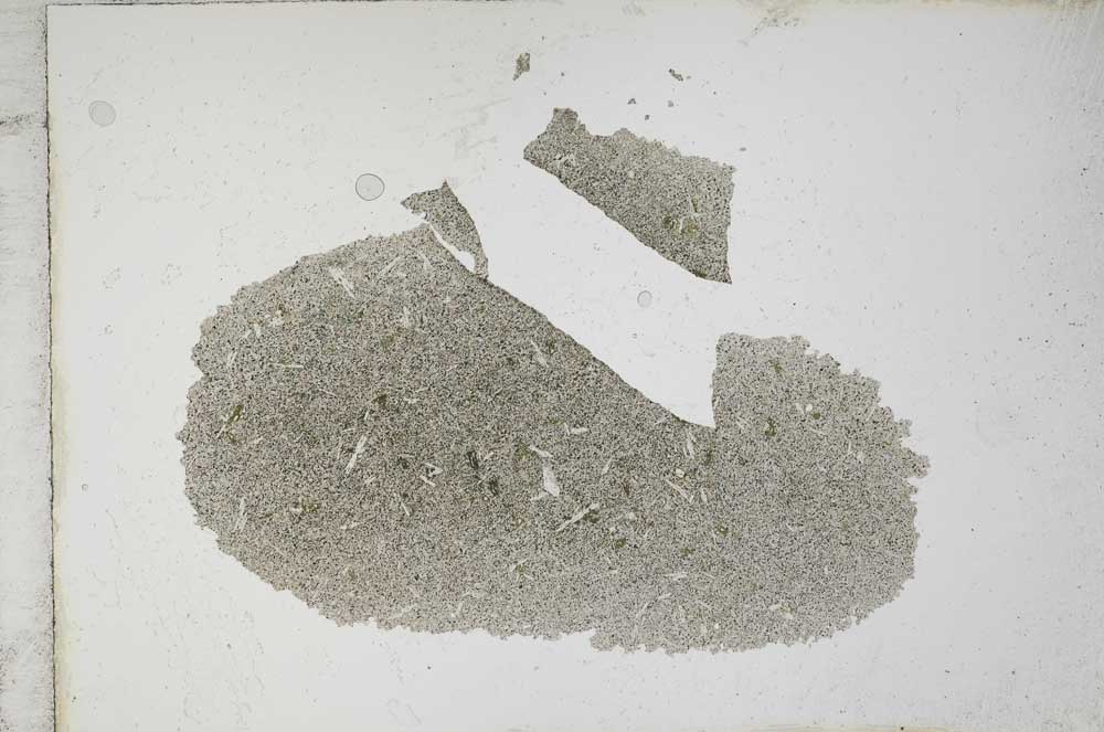 Plane Polarized, S10757