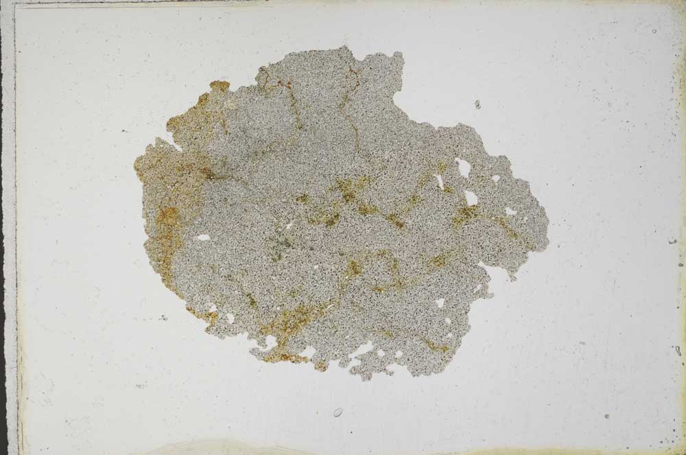 Plane Polarized, S10758