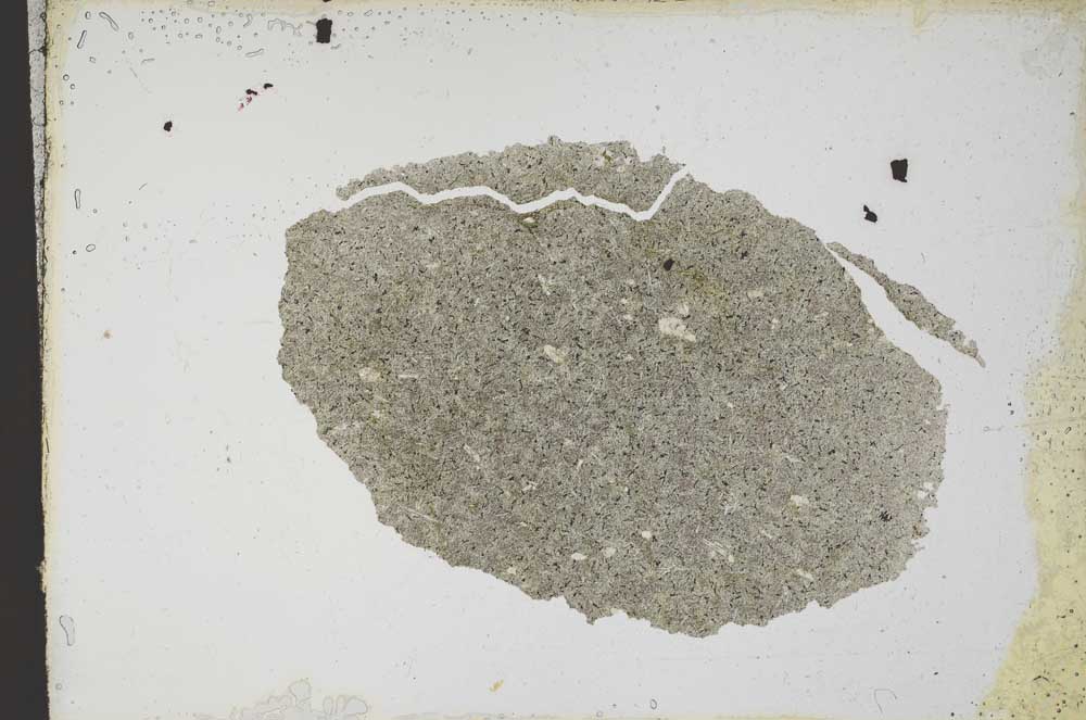 Plane Polarized, S10761