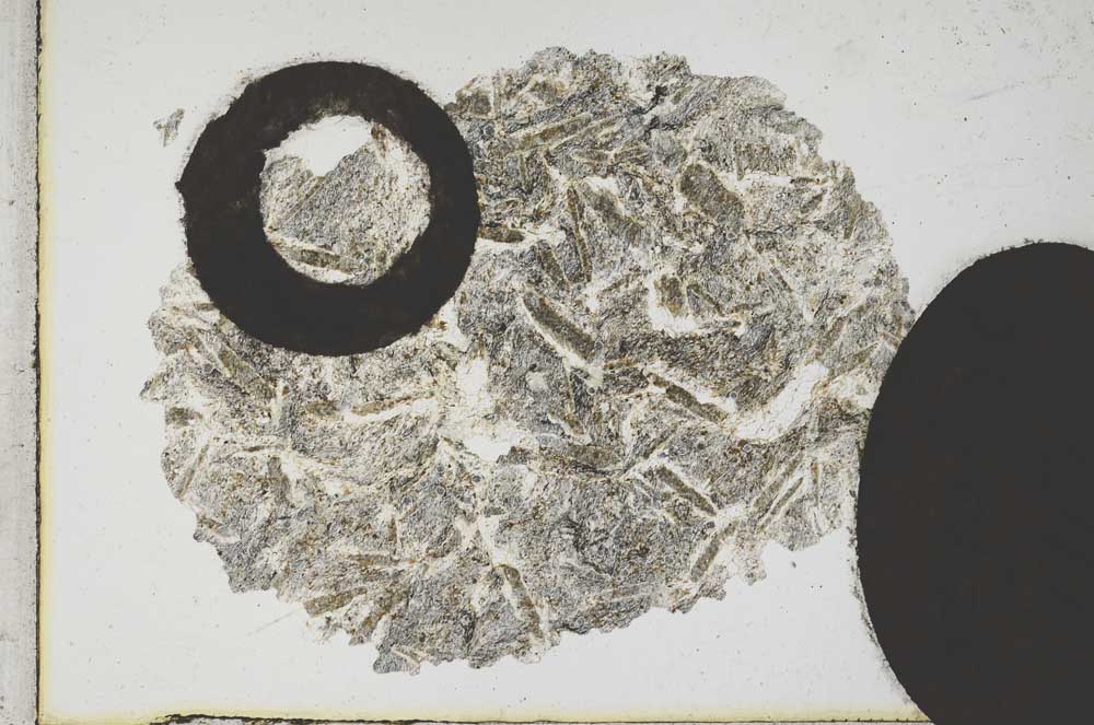 Plane Polarized, S10779