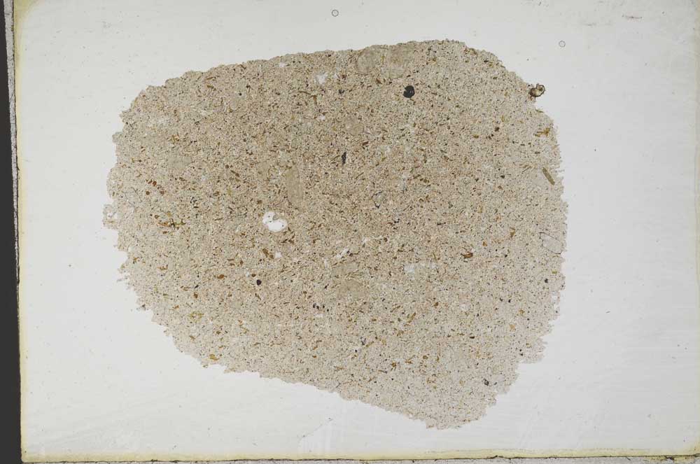 Plane Polarized, S10781