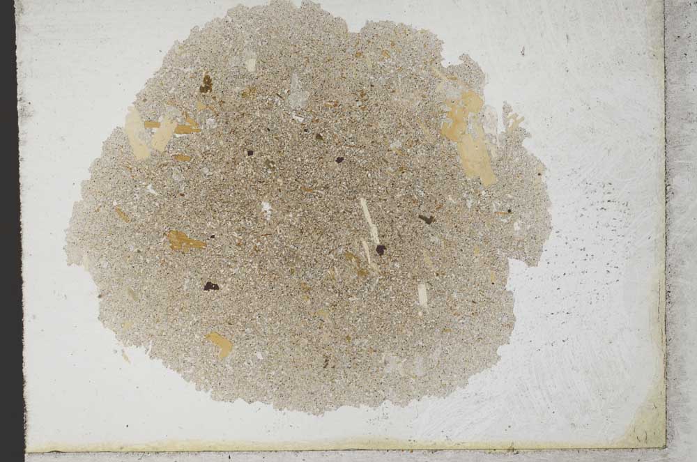 Plane Polarized, S10782