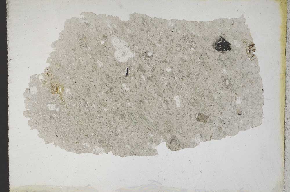 Plane Polarized, S10785