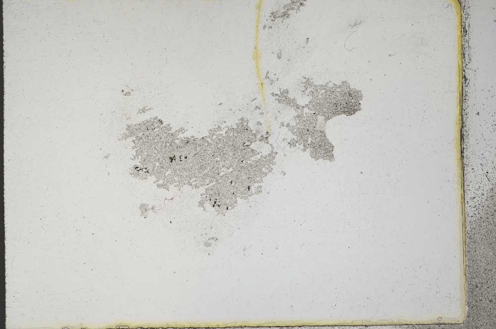 Plane Polarized, S10787