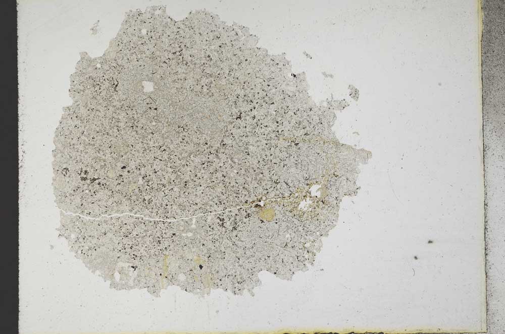 Plane Polarized, S10788