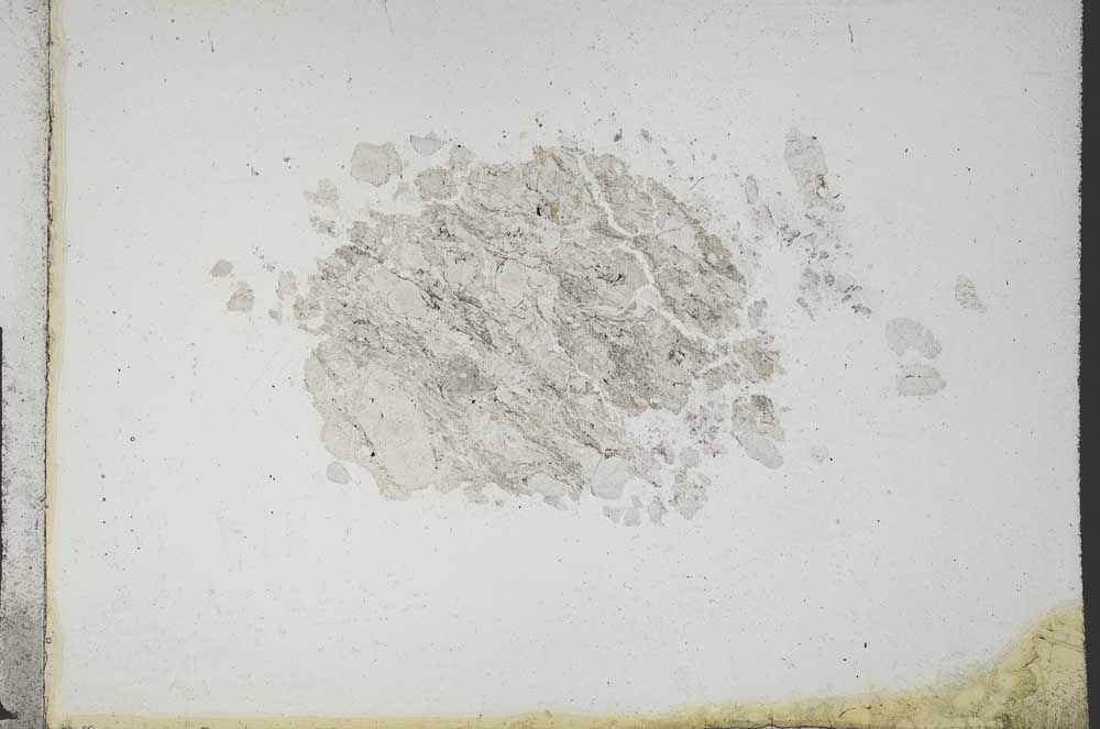 Plane Polarized, S10789