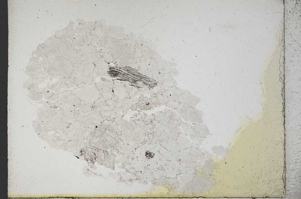 Plane Polarized, S10791