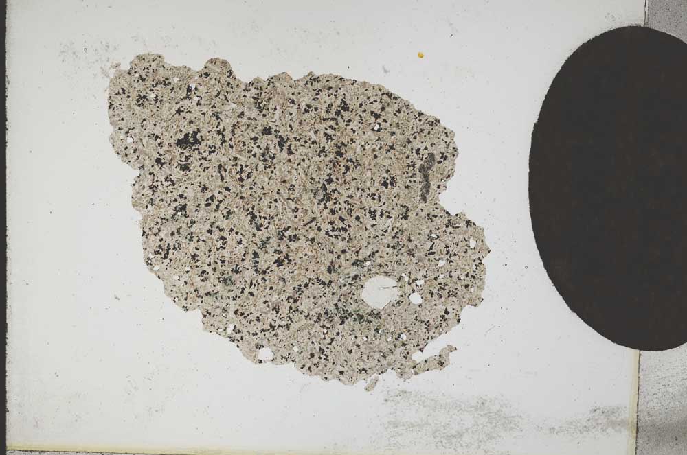Plane Polarized, S10793