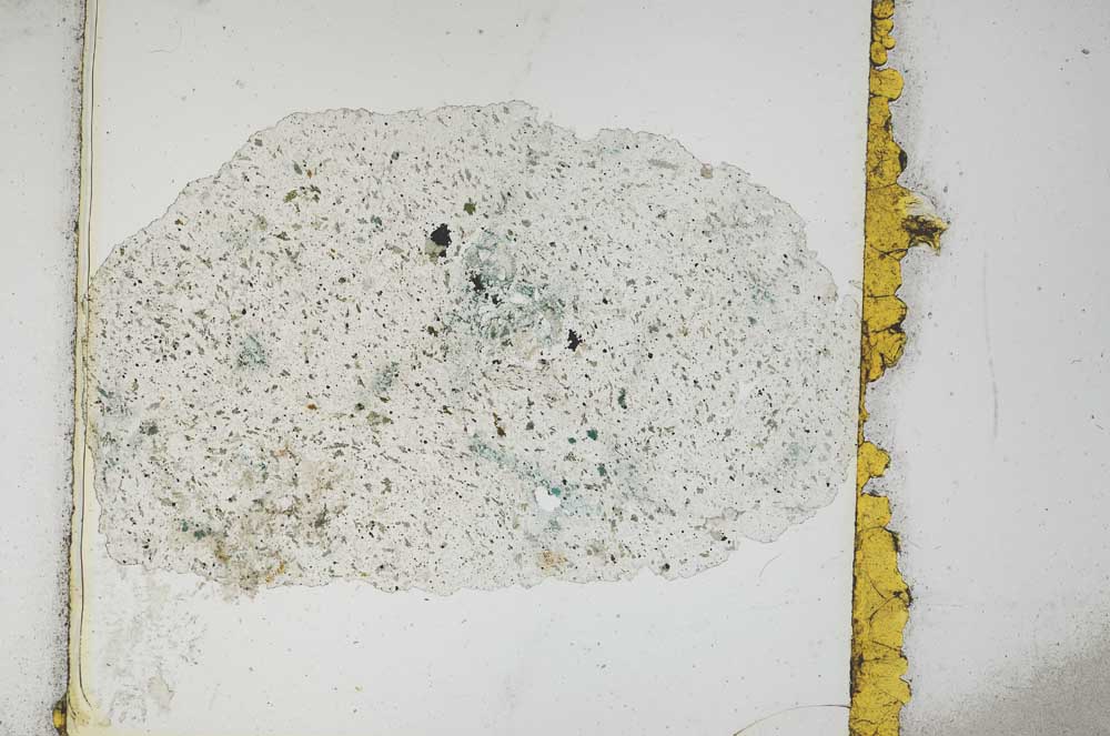 Plane Polarized, S10797