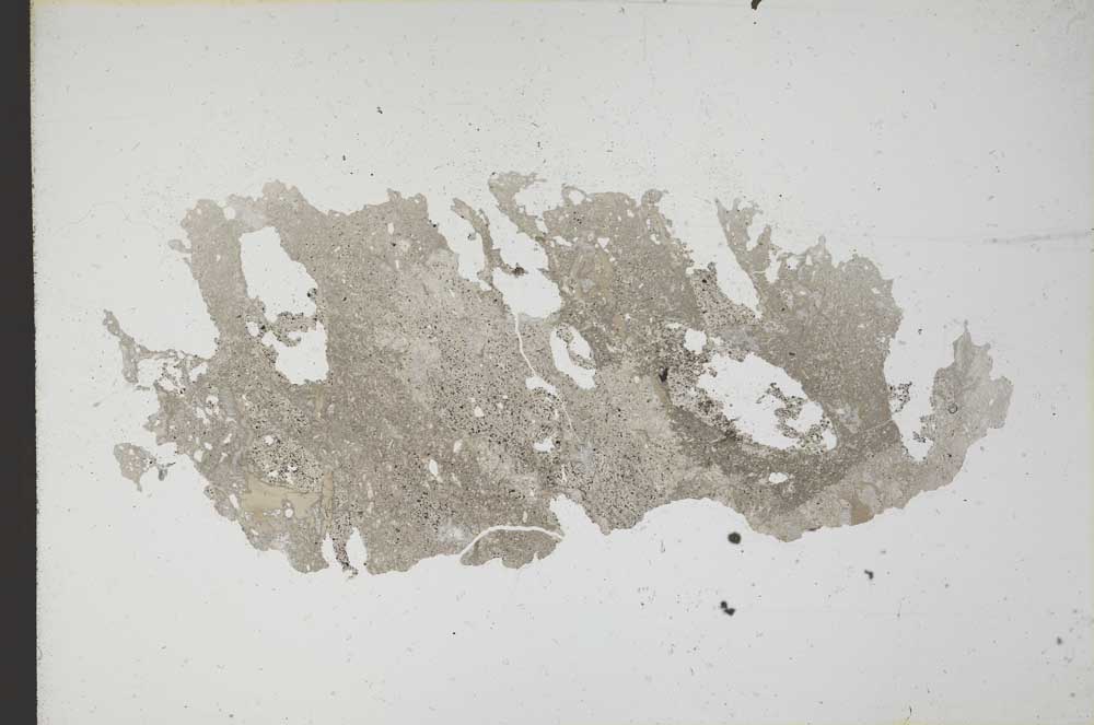 Plane Polarized, S10810